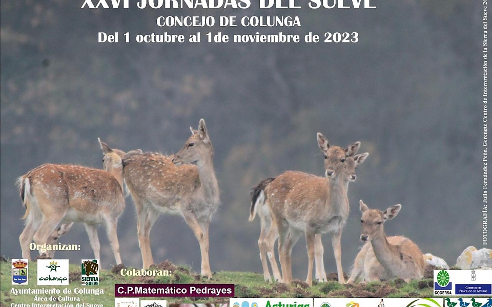 XXVI JORNADAS DEL SUEVE