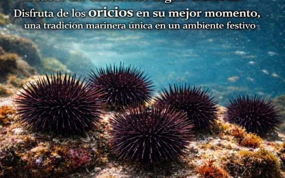 ORICIOS GÜERRES 2026