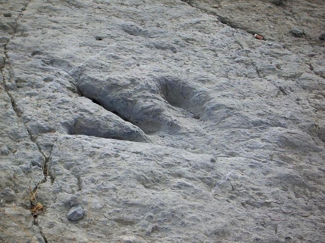 Yacimiento de huellas de dinosaurios de la playa de La Griega
