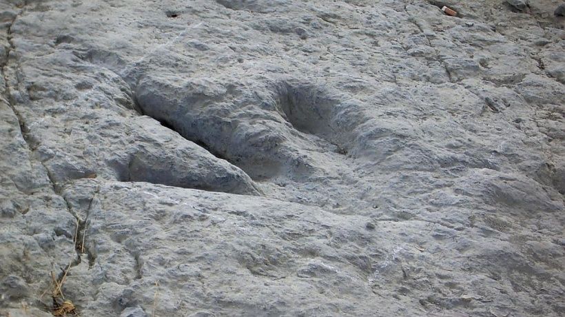 Yacimiento de huellas de dinosaurios de la playa de La Griega