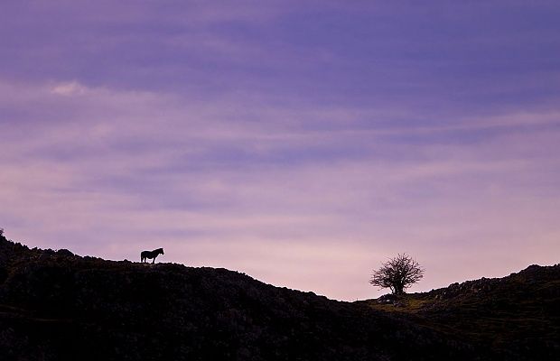 premio-jurado-profesional-fotosueve-2017_pablo_baena.jpg