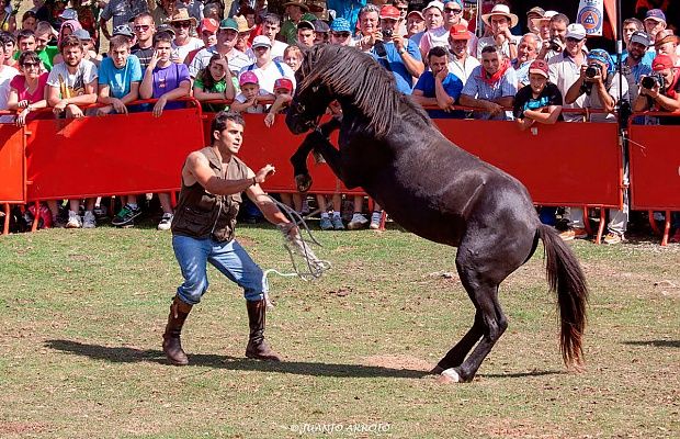 fiesta_asturcon_doma_juanjoarrojo.jpg