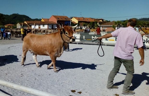 concurso_ganado_loreto2.jpg