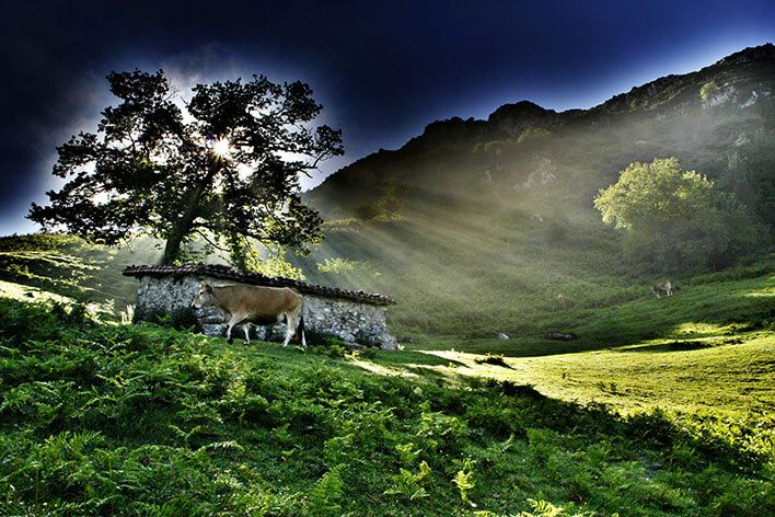 Sueve (© Anselmo Montoto)