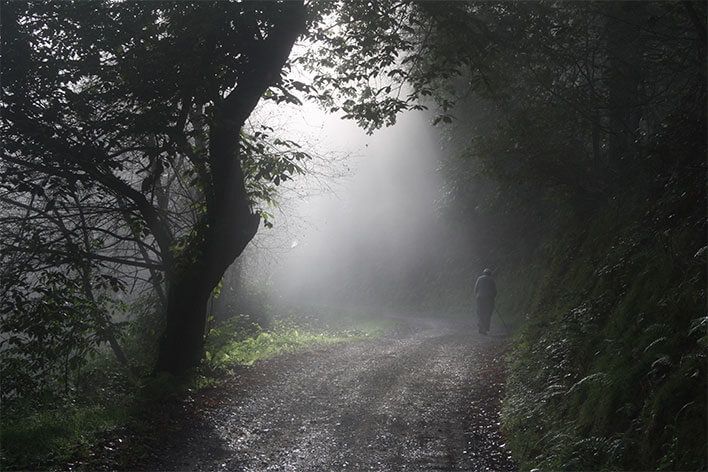 El Reino de la Niebla (© Gonzalo Alonso)