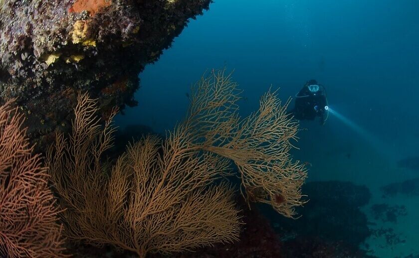 Zona de buceo El Ancla