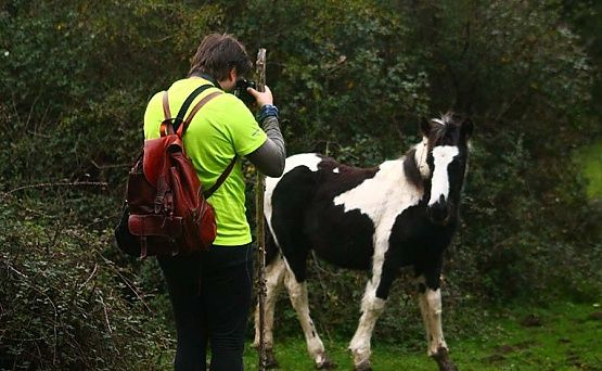 Fotografía en el Sueve (© J Fernández Peón)