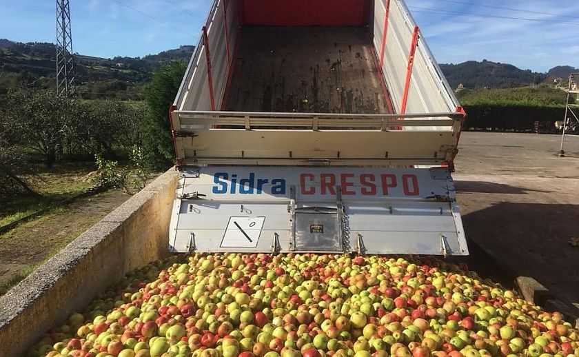 Descarga de manzanas (© Crespo)