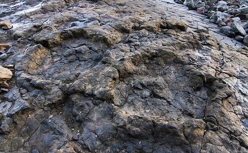 Monumento Natural de los Yacimientos de Icnitas