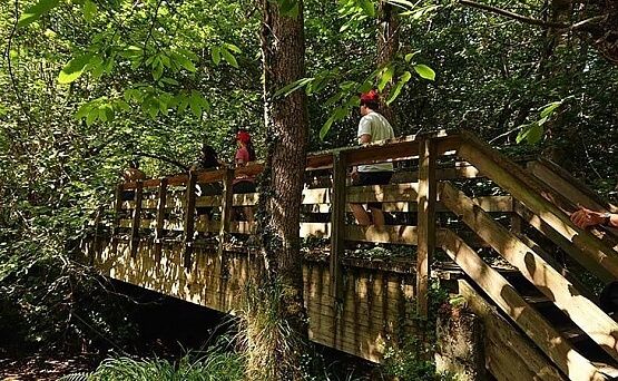 Turismo activo. Centro de Interpretación de la Sierra del Sueve