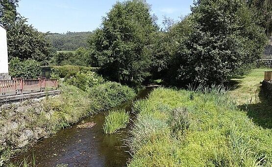 Paseo Saludable: Senda del río Libardón