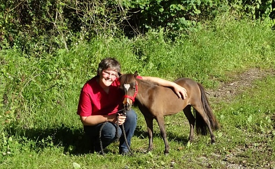 Experiencia Minihorses - MagicEquus